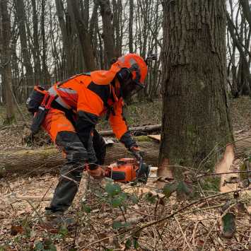 City & Guilds felling trees over 380mm