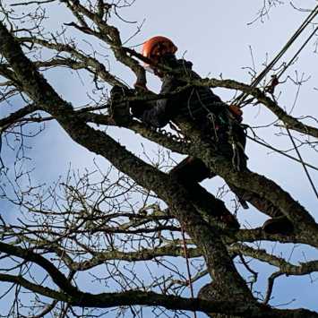 Why the five steps aren't enough. Part 2 of our risk assessment series covers SFARP, suitable and sufficient, the principles of prevention and the hierarchy of controls for arborists and forestry operators. Why the five steps aren't enough. Part 2 of our risk assessment series covers SFARP, suitable and sufficient, the principles of prevention and the hierarchy of controls for arborists and forestry operators.