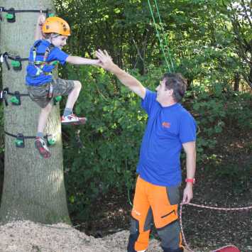 Tree climbing for children