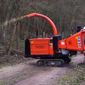 Two tree cutters using a wood chipper 