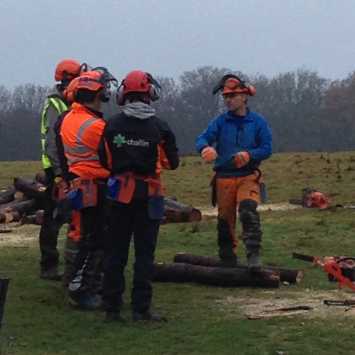 Scott discussing felling techniques