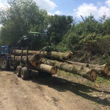 Scott Fraser Training's blue Valtra tractor with white wheels towing a trailer full of logs