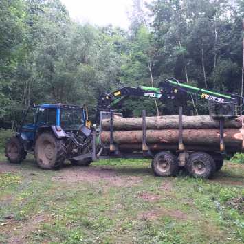 Timber extraction