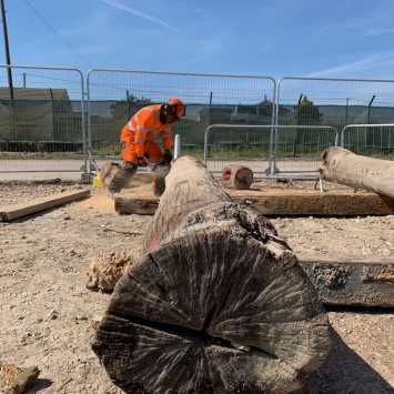 Stihl 362 chainsaw training 