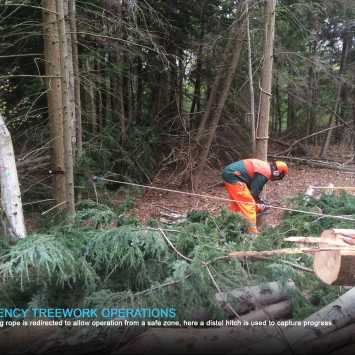 Emergency Treework Operations 