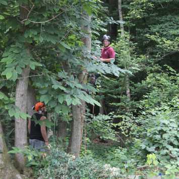 NPTC Tree climbing and aerial rescue assessment 