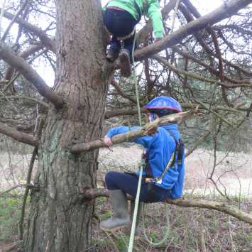 Children climbing with rope and harness