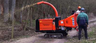 Two tree cutters using a wood chipper 