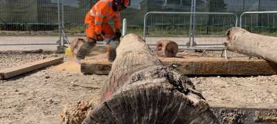 Stihl 362 chainsaw training 